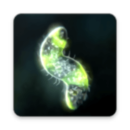 孢子模拟器手机汉化版