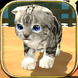 cat simulator kitty craft游戏