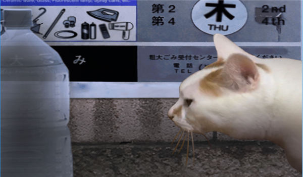 恐怖猫的一天游戏下载