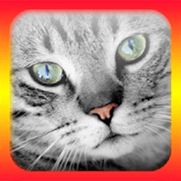 猫语翻译模拟器app