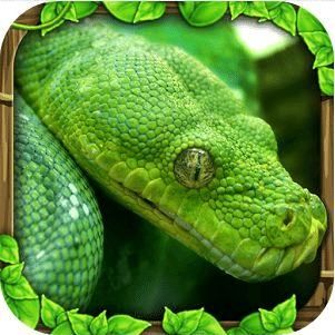 终极蟒蛇模拟器中文版