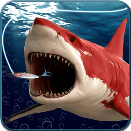 垂钓鲨鱼游戏
