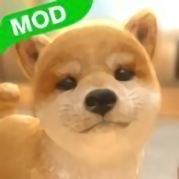 和我的狗狗在一起游戏