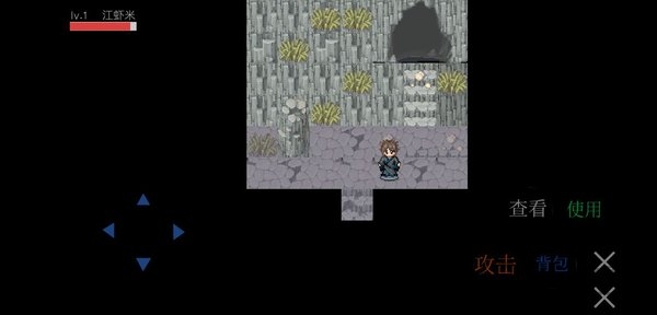 武侠人生rpg版游戏