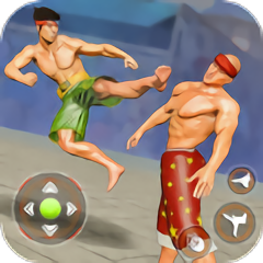 街头格斗英雄游戏(street fighter hero)