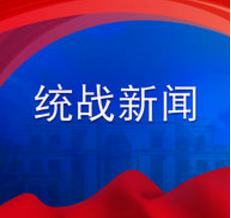 smaint pro智能安防app